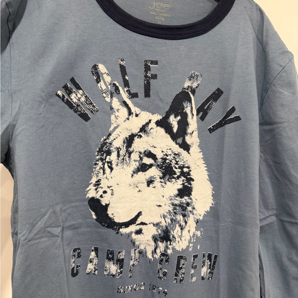 Joe Fresh Gray and Blue Graphic Tees for Kids - Picture 10 of 13